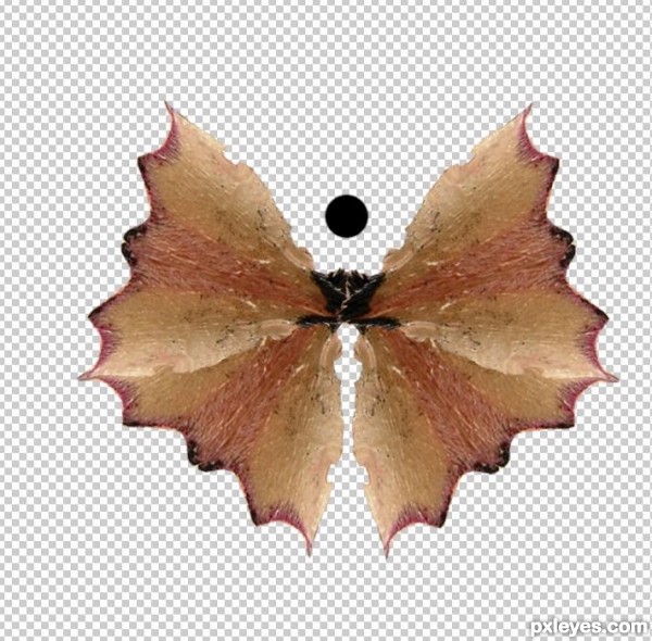 Creation of Butterfly: Step 5